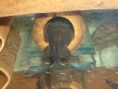 /album/ancistrus-sp-l59/a-hoplogenis-samec-v-bambusu-jpg/